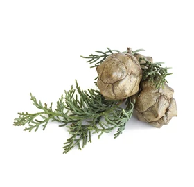 BASSAU természetes illóolaj ciprusfa 200 ml