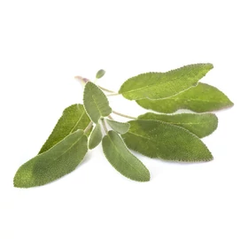 BASSAU természetes illóolaj zsálya 200 ml