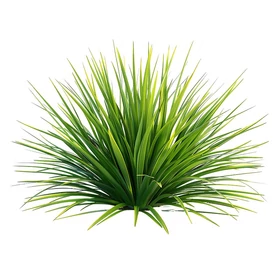 BASSAU természetes illóolaj citromfű 200 ml