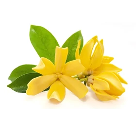 BASSAU természetes illóolaj ylang-ylang 200 ml