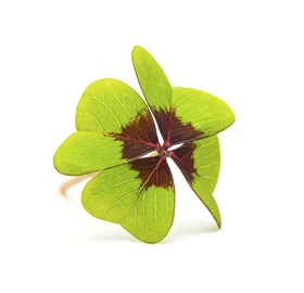 BASSAU természetes illóolaj lóhere 200 ml