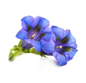 BASSAU természetes illóolaj tárnics 200 ml