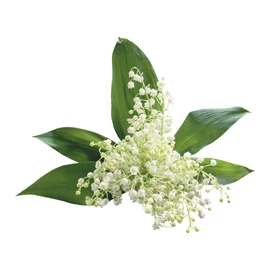 BASSAU természetes illóolaj gyöngyvirág 200 ml