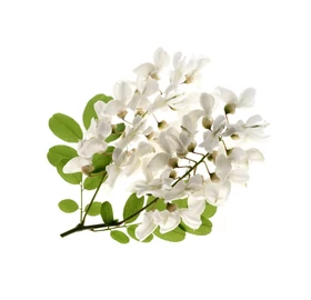 BASSAU természetes illóolaj akácvirág 200 ml