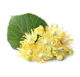 BASSAU természetes illóolaj hársfavirág 200 ml