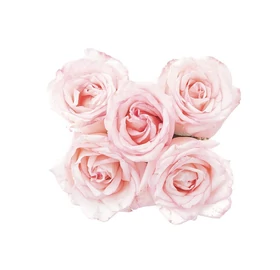 BASSAU természetes illóolaj rózsa 200 ml