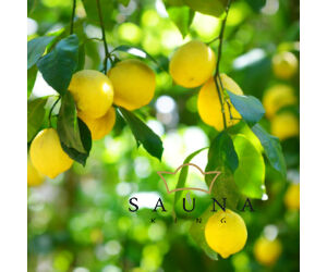 HARVIA szaunaillat citrus 500ml