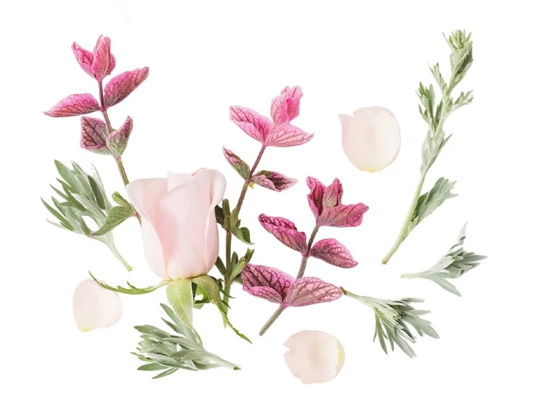 BASSAU természetes illóolaj friss tavasz 200 ml